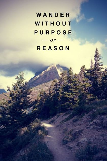 230212-Wander-Without-Purpose-Or-Reason